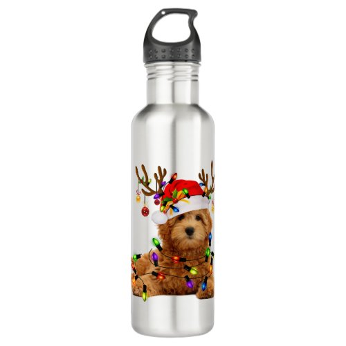 Goldendoodle christmas reindeer christmas lights p stainless steel water bottle