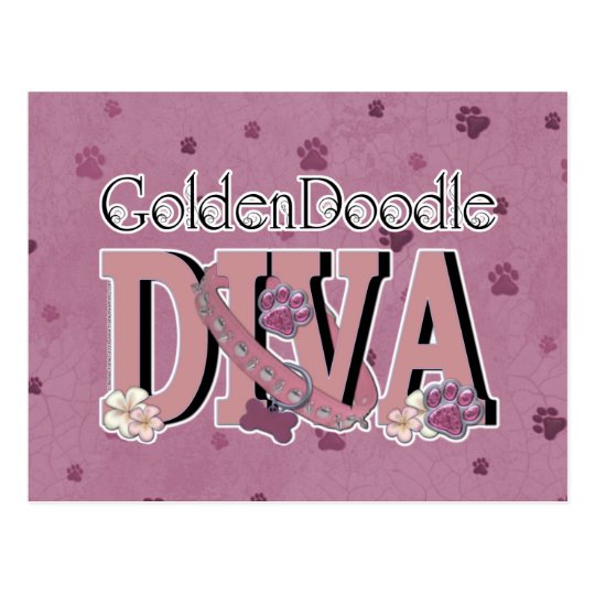 GoldenDoodle DIVA Postcard
