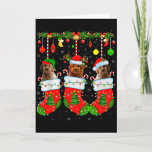 Goldendoodle Dog In Christmas Socks Funny Pet Dog Card