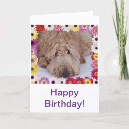 GoldenDoodle Dog in Colorful Flowers Birthday Card