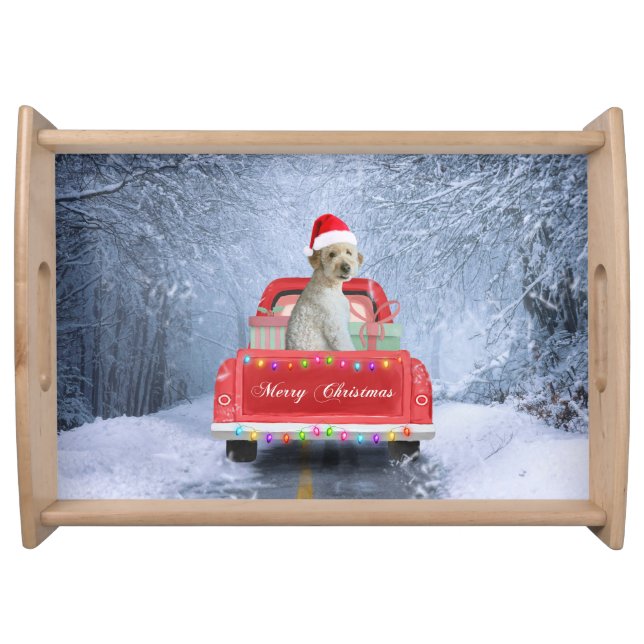Goldendoodle Dog in Snow sitting in Christmas Serving Tray (Front)