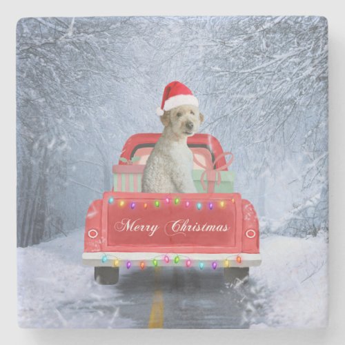 Goldendoodle Dog in Snow sitting in Christmas Stone Coaster