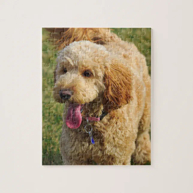 Goldendoodle Dog Jigsaw Puzzle Zazzle