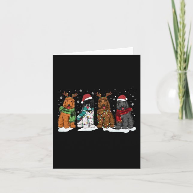 Goldendoodle Dogs Christmas Lights Golden Doodle D Card (Front)