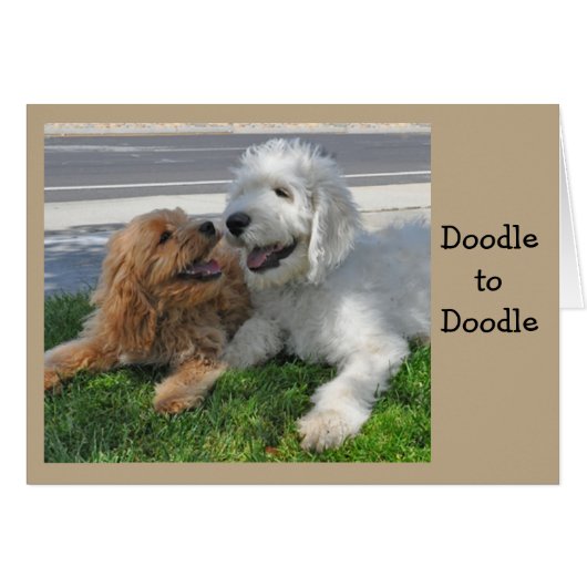 Goldendoodle friends cards (Front Horizontal)