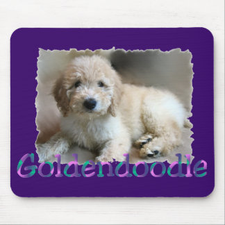 Goldendoodle Gifts Mouse Pad