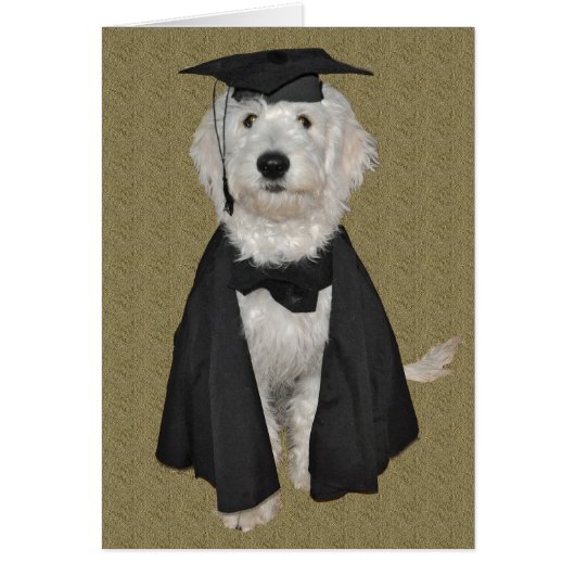 Goldendoodle Graduation Card (Front)