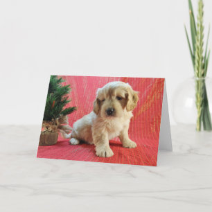 Goldendoodle Holiday Card