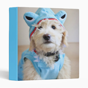 Goldendoodle In Shark Costume 3 Ring Binder