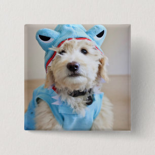 Goldendoodle In Shark Costume Button