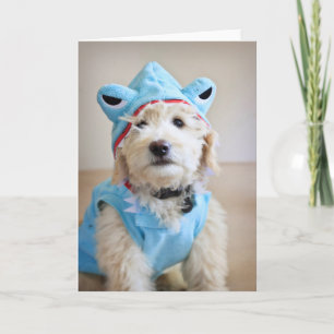 Goldendoodle In Shark Costume Card