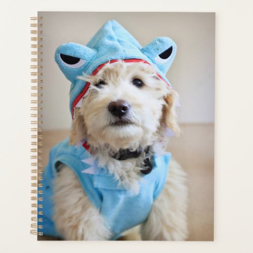 Goldendoodle In Shark Costume Planner