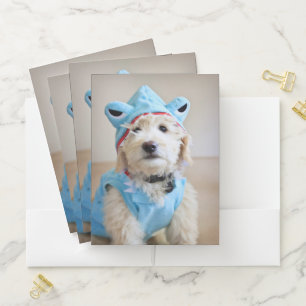 Goldendoodle In Shark Costume Pocket Folder