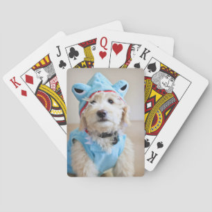 Goldendoodle In Shark Costume Poker Cards