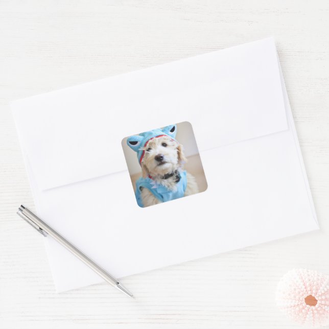 Goldendoodle In Shark Costume Square Sticker (Envelope)