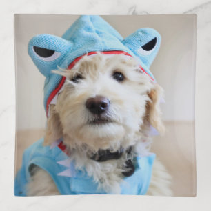 Goldendoodle In Shark Costume Trinket Tray