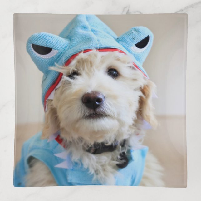 Goldendoodle In Shark Costume Trinket Tray (Front)