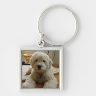 Goldendoodle Leather Dog Keychain