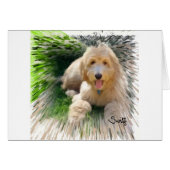 Goldendoodle Labradoodle (Front Horizontal)
