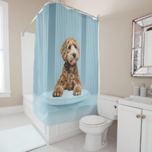 Goldendoodle Laying on Minimal Pastel Blue Podium Shower Curtain