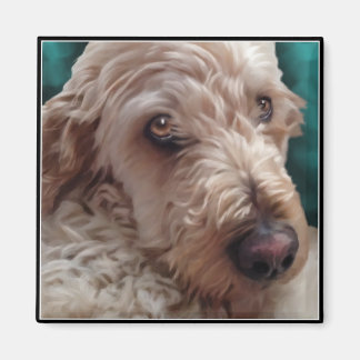 Goldendoodle Magnet