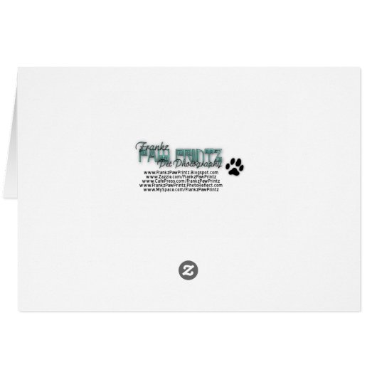 GoldenDoodle MOM (Back Horizontal)