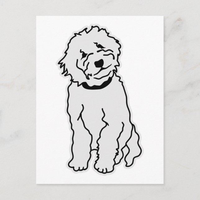 Goldendoodle Postcard (Front)