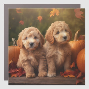 Goldendoodle Puppy Autumn Delight Pumpkin  Car Magnet