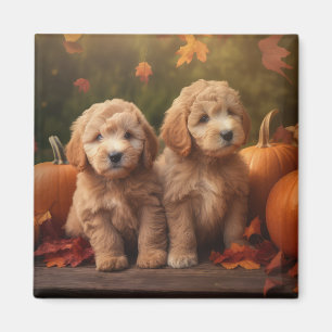 Goldendoodle Puppy Autumn Delight Pumpkin  Magnet