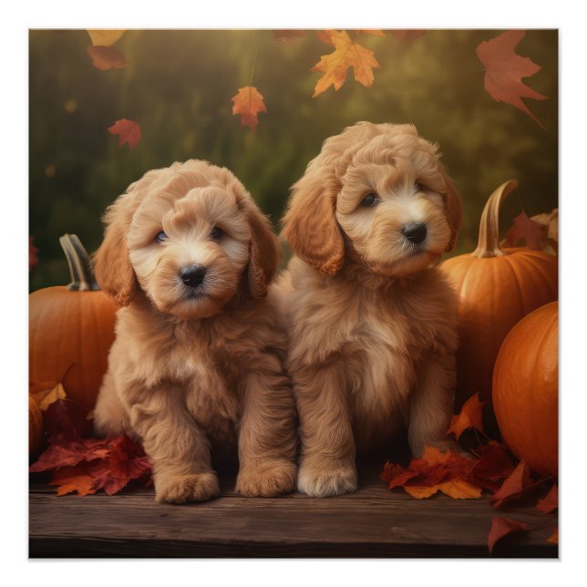 Goldendoodle Puppy Autumn Delight Pumpkin  Poster (Front)