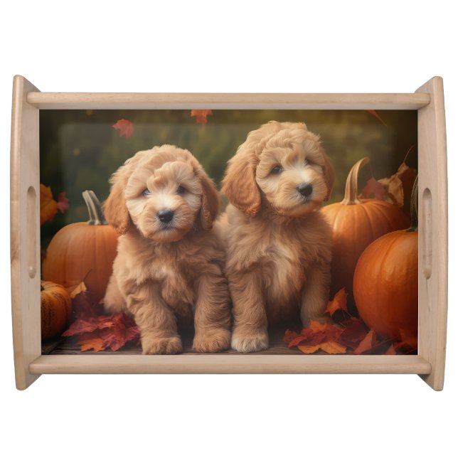 Goldendoodle Puppy Autumn Delight Pumpkin  Serving Tray (Front)