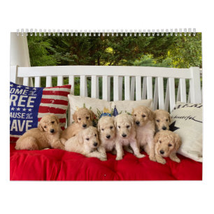 Goldendoodle Puppy Calendar
