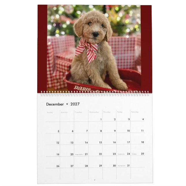 Goldendoodle Puppy Calendar (Dec 2027)