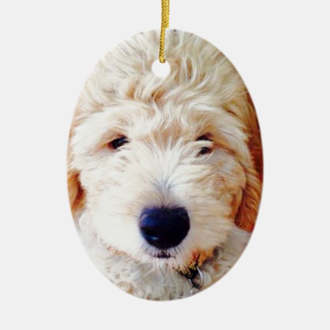 Goldendoodle Puppy Ceramic Ornament (Front)