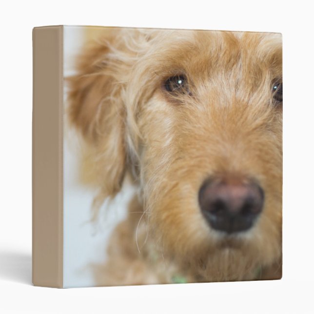Goldendoodle Puppy Closeup 3 Ring Binder (Front/Spine)