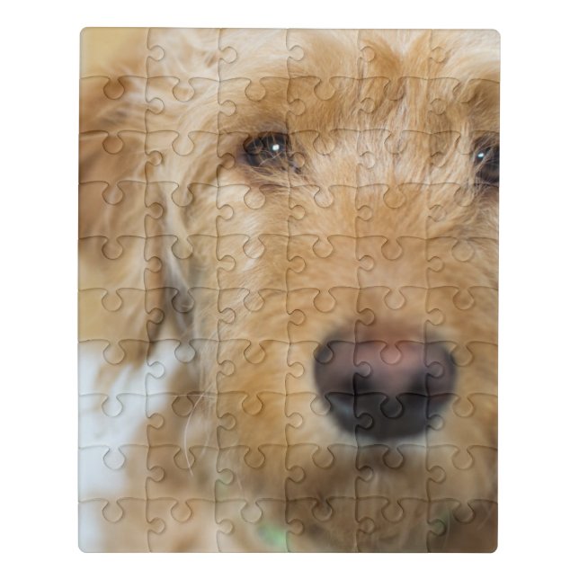 Goldendoodle Puppy Closeup Jigsaw Puzzle (Puzzle Vertical)