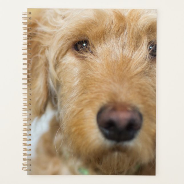 Goldendoodle Puppy Closeup Planner (Front)