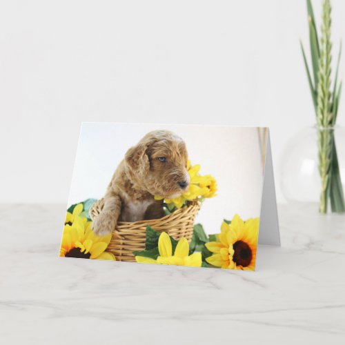 Goldendoodle Puppy Greeting Card