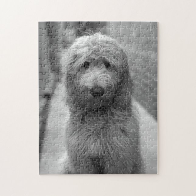 Goldendoodle Puppy In Backyard Jigsaw Puzzle (Vertical)