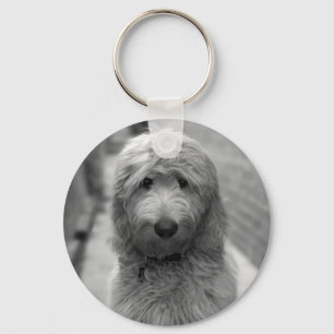 Goldendoodle Puppy In Backyard Keychain