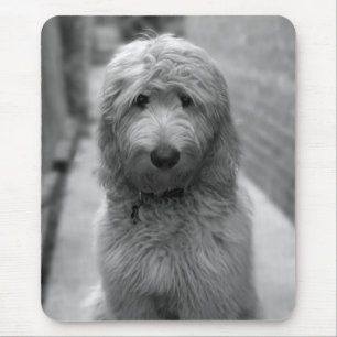 Goldendoodle Puppy In Backyard Mouse Pad