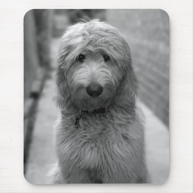 Goldendoodle Puppy In Backyard Mouse Pad (Front)