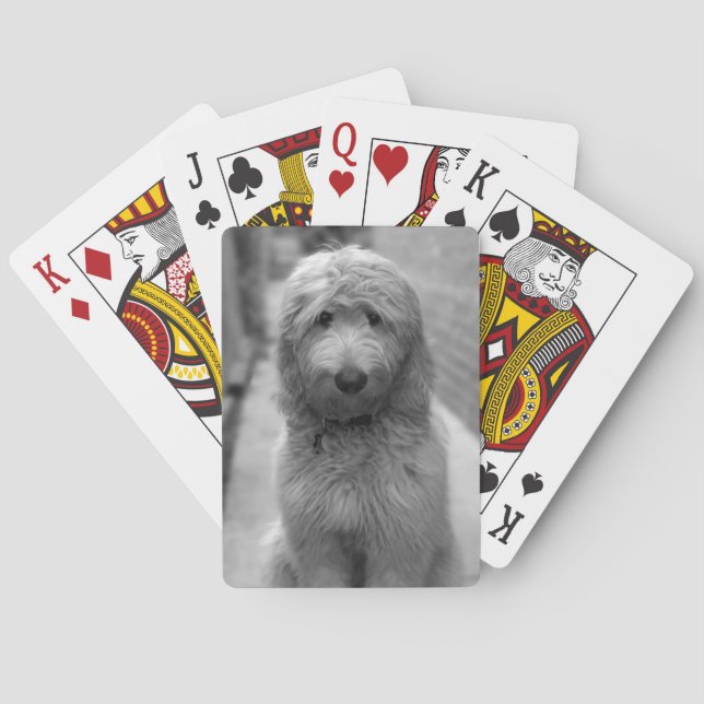 Goldendoodle Puppy In Backyard Poker Cards (Back)