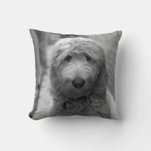 Goldendoodle Puppy In Backyard Throw Pillow