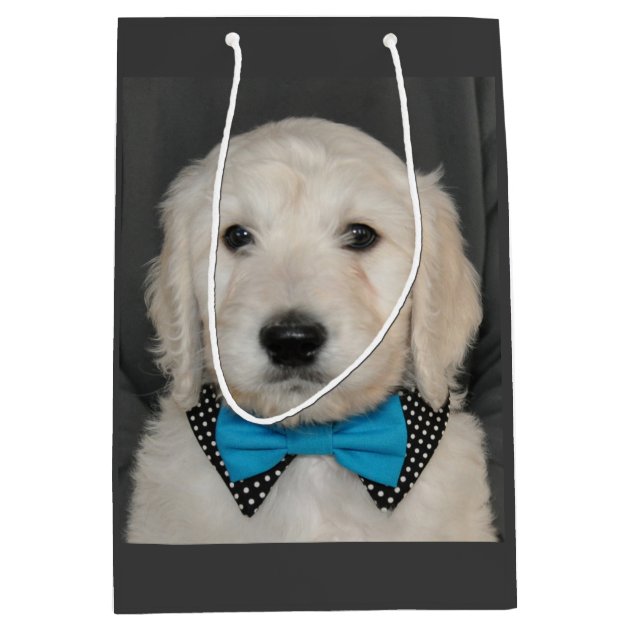 goldendoodle tie