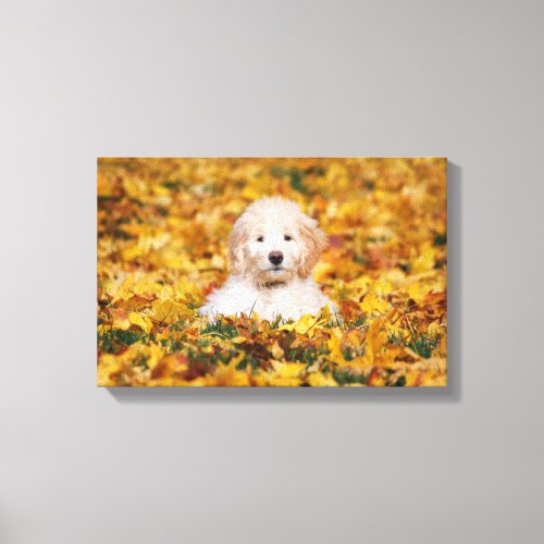 Goldendoodle Puppy In Fall Leaves Canvas Print