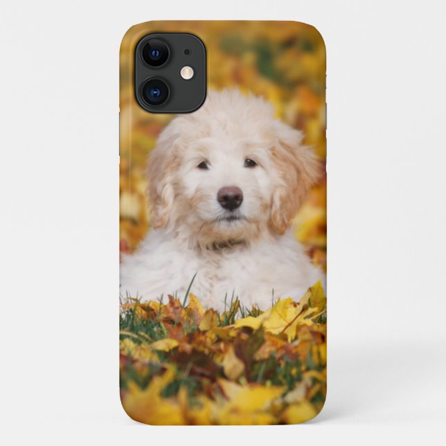 Goldendoodle Puppy In Fall Leaves Case-Mate iPhone Case (Back)