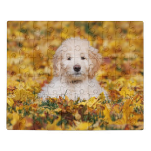 Goldendoodle Puppy In Fall Leaves Jigsaw Puzzle