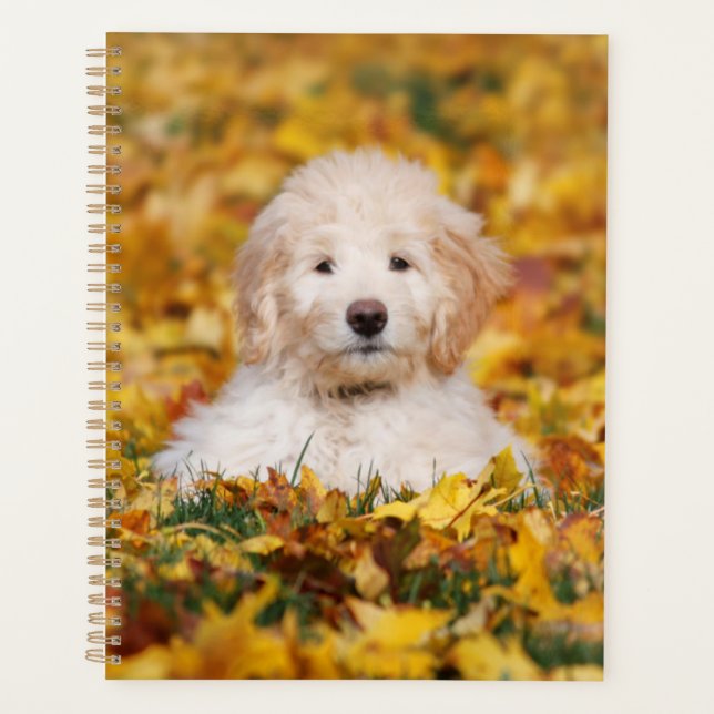 Goldendoodle Puppy In Fall Leaves Planner (Front)
