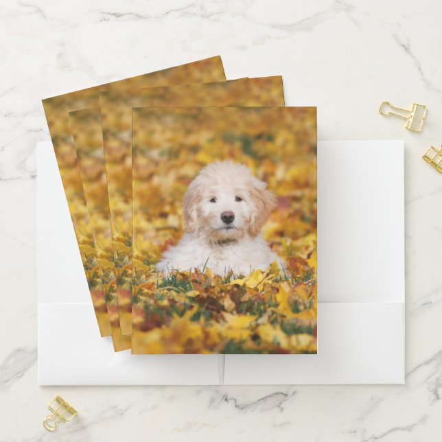 Goldendoodle Puppy In Fall Leaves Pocket Folder (In Situ)